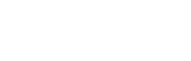 XTOPIA.IO is developed by XIMNET